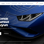 Tamas Protection WordPress Projesi