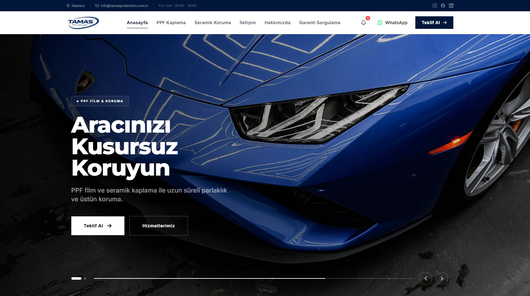 Tamas Protection WordPress Projesi